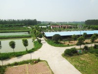 企業(yè)環(huán)境